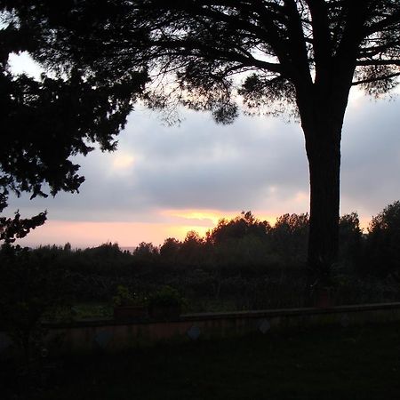 Ai Cipressi Panzió Salemi Kültér fotó